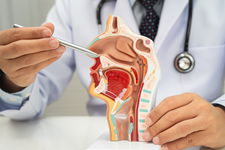 Otolaryngology-Diseases